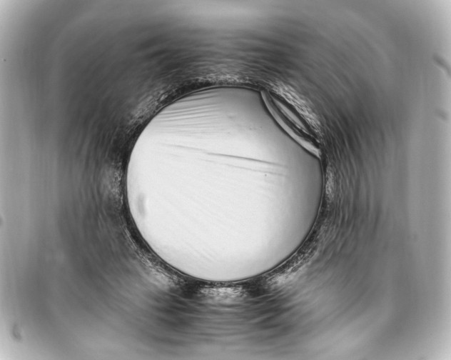 X0000096730449200802261457