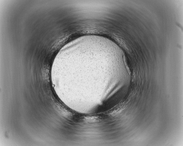 X0000096730450200802261457