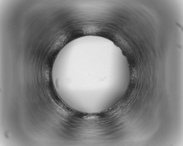 X0000096730452200802261457