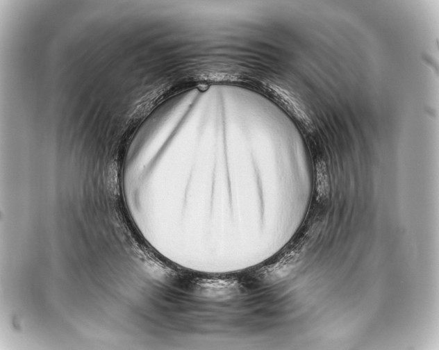 X0000096730453200802261457