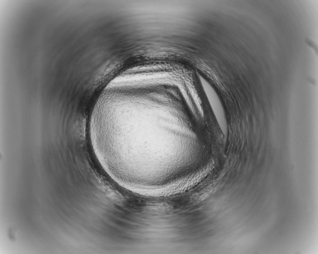 X0000096730454200802261457