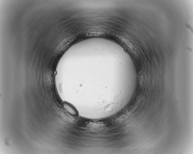 X0000096730455200802261457