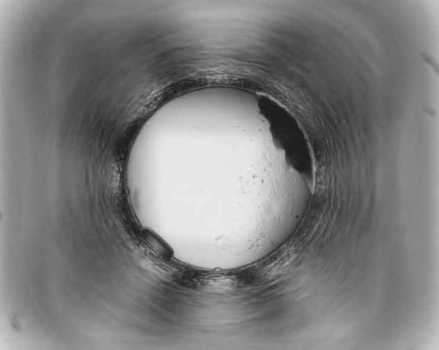 X0000096730456200802261457