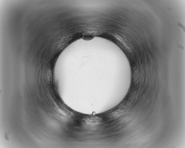 X0000096730459200802261457