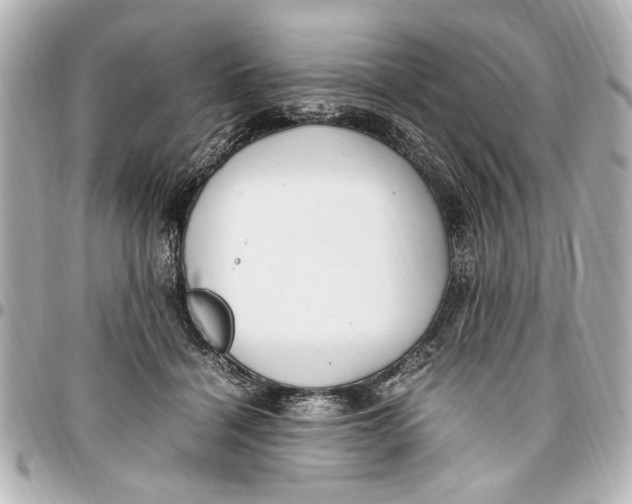 X0000096730460200802261457