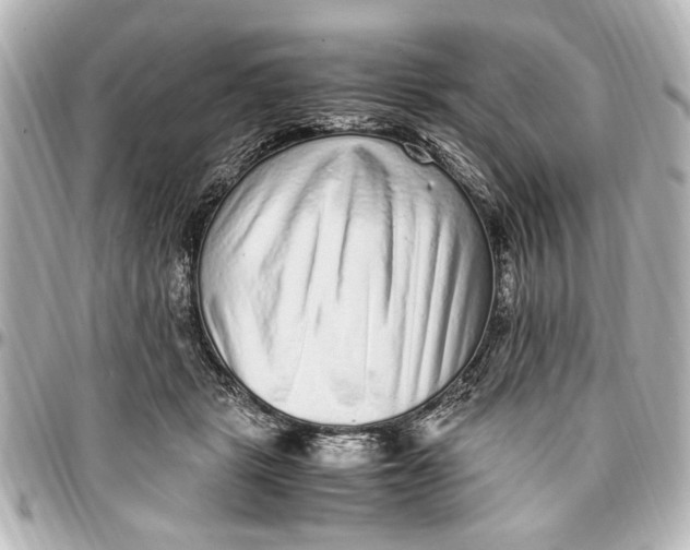 X0000096730461200802261457
