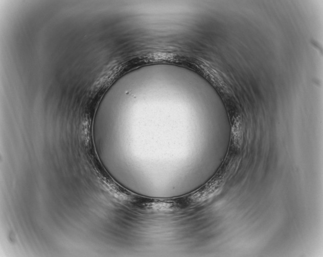 X0000096730462200802261457