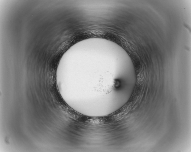 X0000096730464200802261457