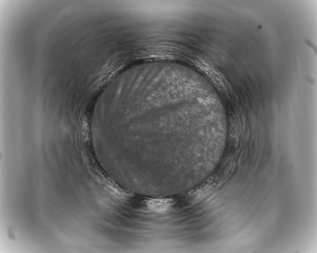 X0000096730465200802261457