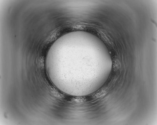 X0000096730466200802261457