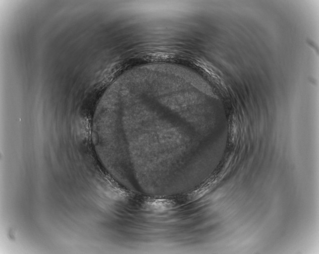 X0000096730467200802261457