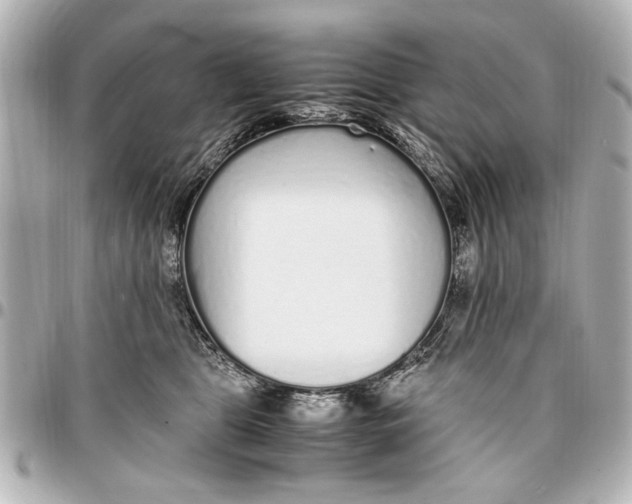 X0000096730469200802261457