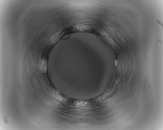 X0000096730471200802261457
