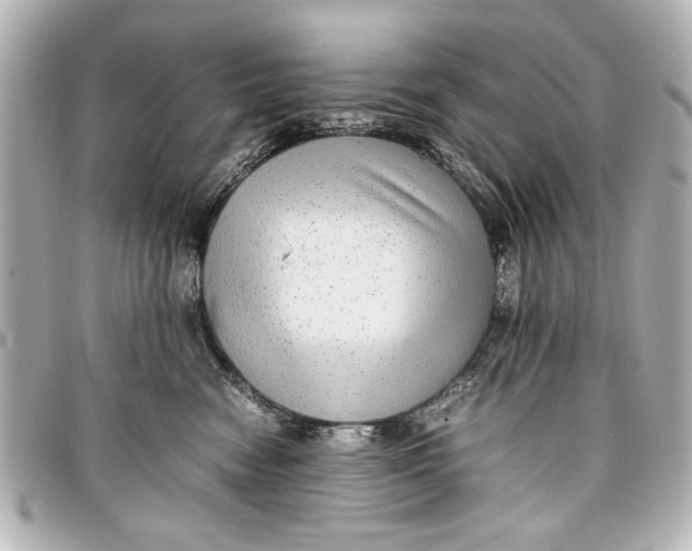 X0000096730474200802261457