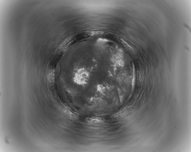 X0000096730475200802261457