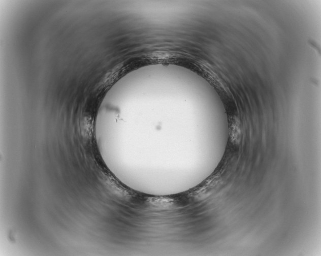 X0000096730476200802261457