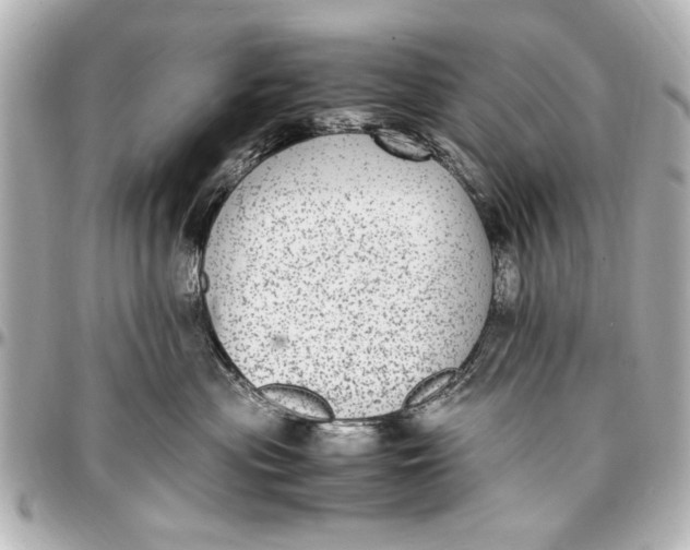 X0000096730477200802261457