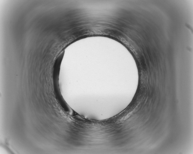 X0000096730481200802261456