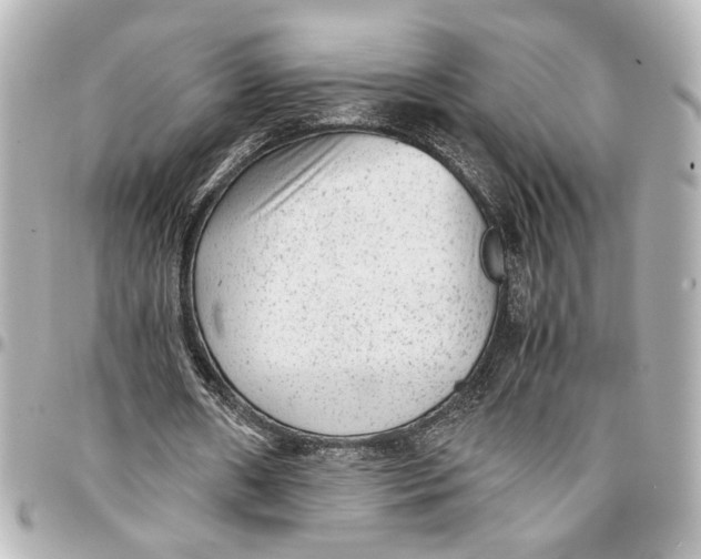 X0000096730482200802261456