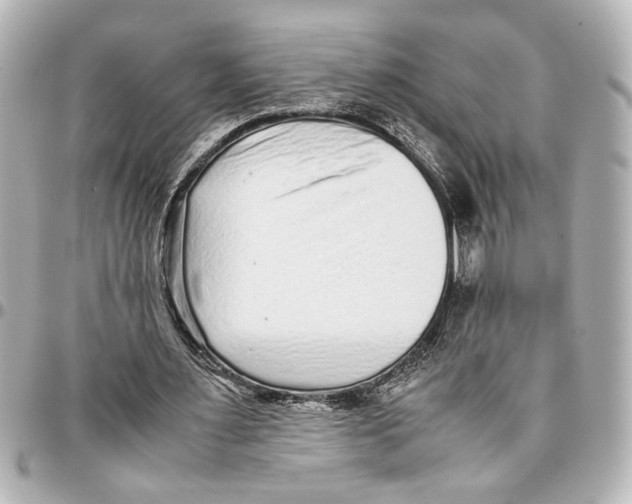 X0000096730483200802261456