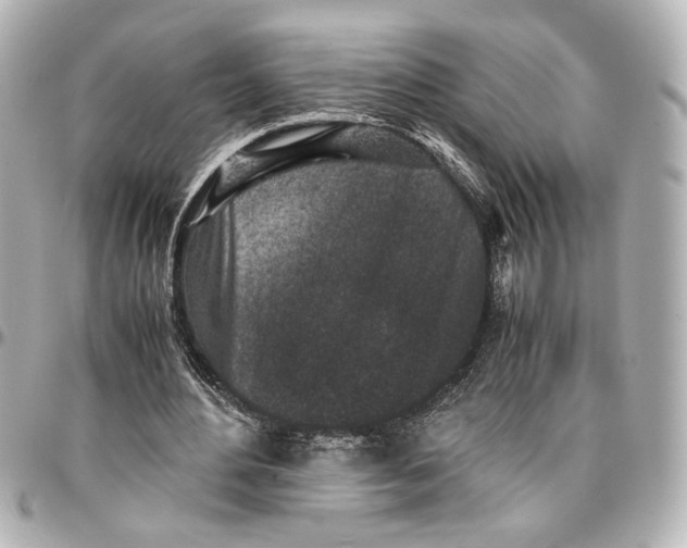 X0000096730484200802261456