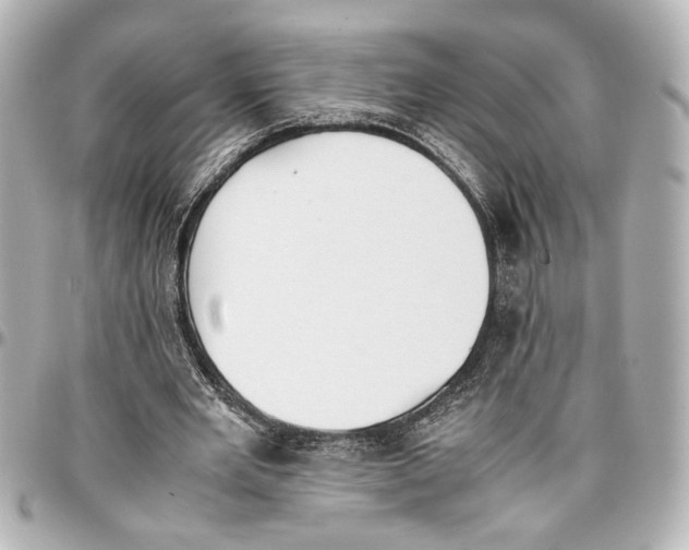 X0000096730485200802261456