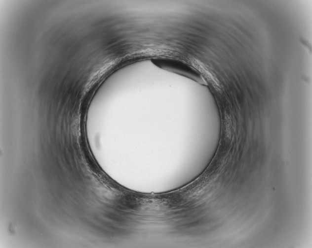 X0000096730486200802261456