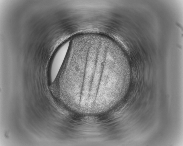 X0000096730487200802261456