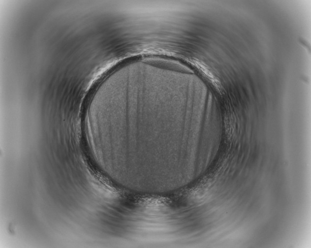X0000096730488200802261456