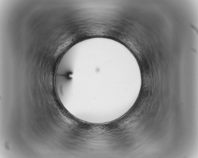 X0000096730489200802261456