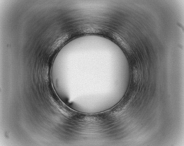 X0000096730490200802261456