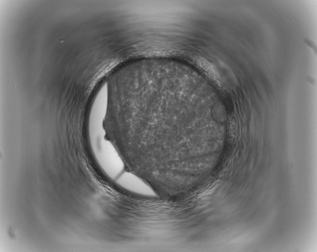 X0000096730491200802261456