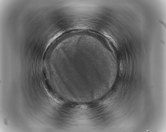 X0000096730492200802261456