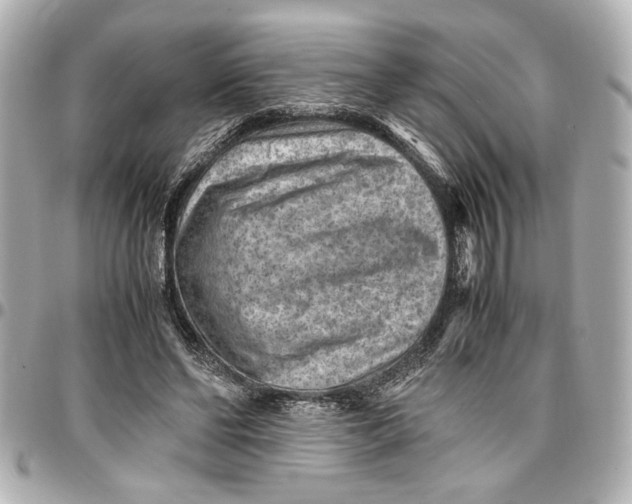 X0000096730494200802261456