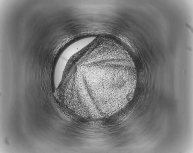 X0000096730495200802261456