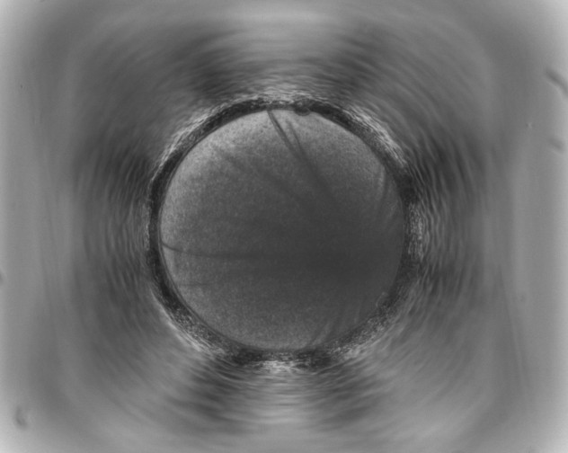 X0000096730496200802261456