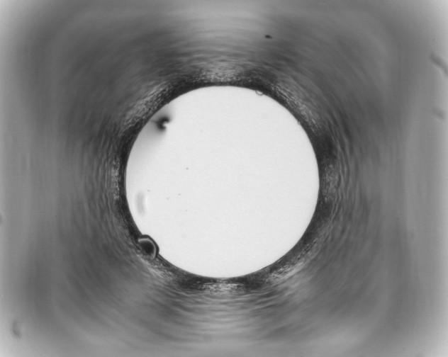 X0000096730497200802261456