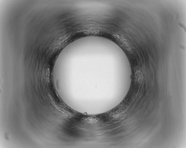 X0000096730498200802261456