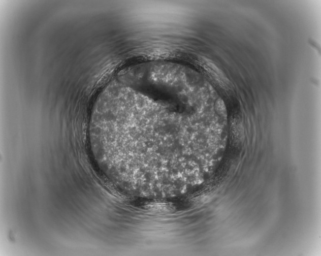 X0000096730499200802261456