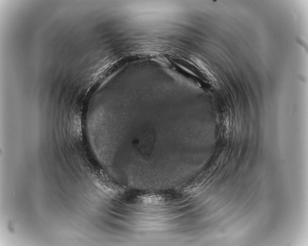 X0000096730500200802261456