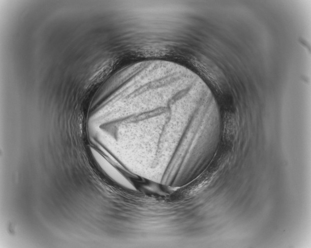 X0000096730501200802261456