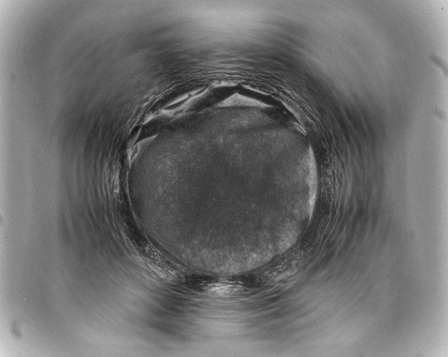 X0000096730504200802261456