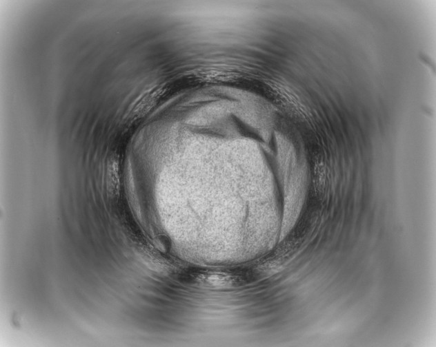X0000096730506200802261456