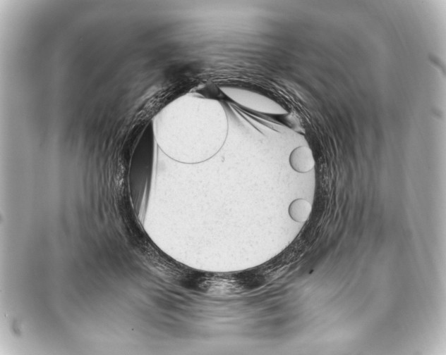 X0000096730507200802261456