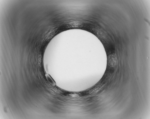 X0000096730509200802261456
