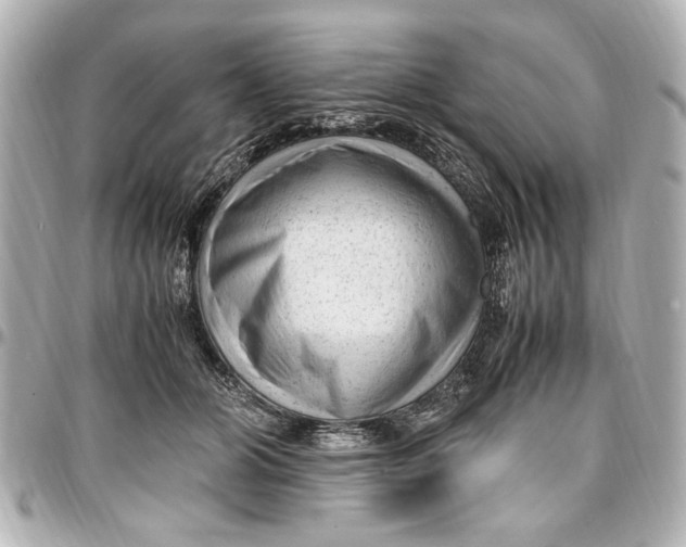 X0000096730510200802261456