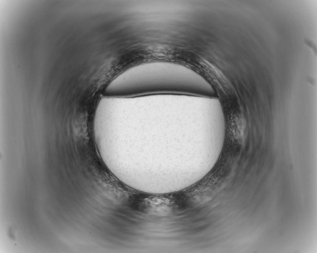 X0000096730512200802261456