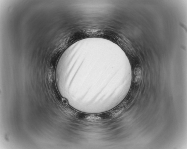 X0000096730515200802261456