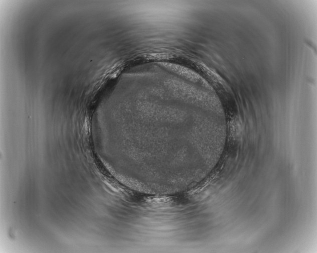 X0000096730517200802261456