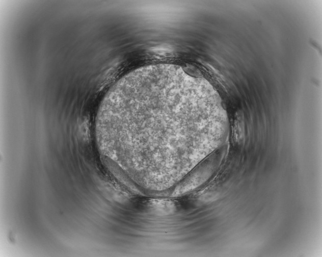 X0000096730520200802261456